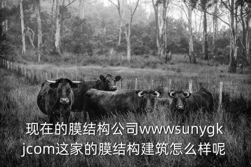 現在的膜結構公司wwwsunygkjcom這家的膜結構建筑怎么樣呢