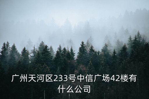 廣州天河區233號中信廣場42樓有什么公司