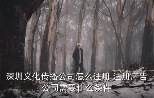 深圳市企宣文化傳播有限公司，深圳文化公司哪里