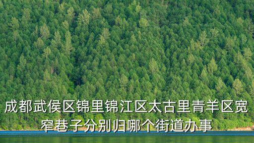 成都武侯區(qū)錦里錦江區(qū)太古里青羊區(qū)寬窄巷子分別歸哪個街道辦事