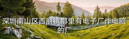 深圳南山區(qū)西麗鎮(zhèn)那里有電子廠作電腦的廠