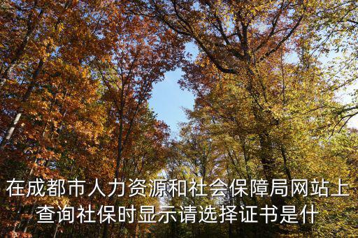 在成都市人力資源和社會保障局網站上查詢社保時顯示請選擇證書是什