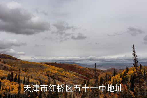 天津市紅橋區五十一中地址