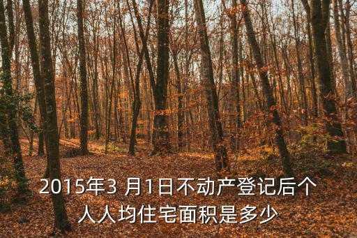 2015年3 月1日不動產登記后個人人均住宅面積是多少