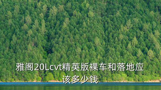 雅閣20Lcvt精英版裸車和落地應該多少錢