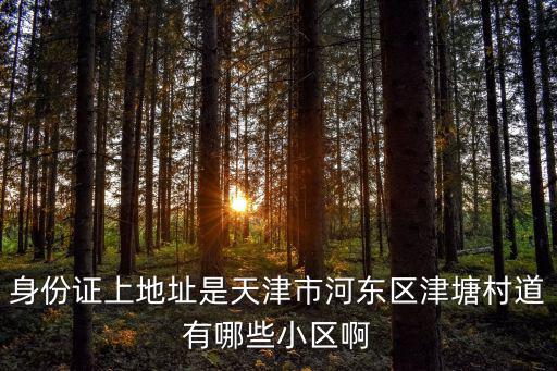 身份證上地址是天津市河?xùn)|區(qū)津塘村道有哪些小區(qū)啊