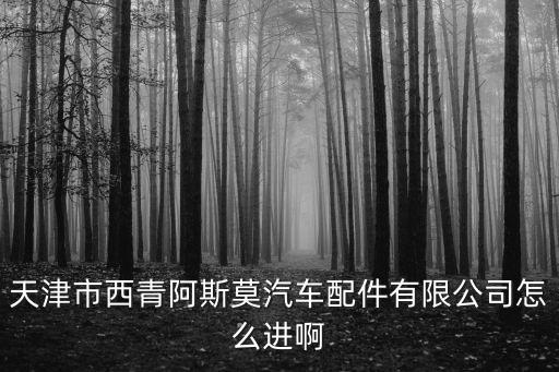 天津市西青阿斯莫汽車配件有限公司怎么進(jìn)啊