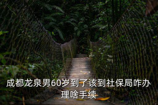 成都龍泉男60歲到了該到社保局咋辦理啥手續