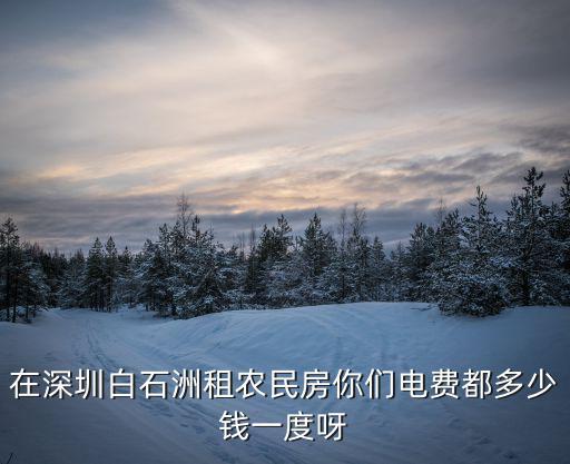 深圳農民房水電費，在深圳白石洲租農民房你們電費都多少錢一度呀