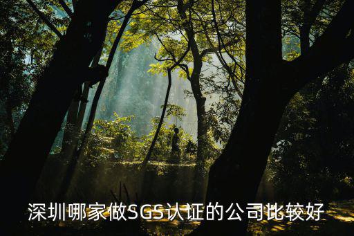 深圳質量驗廠審核哪家好，深圳驗貨公司哪家最好呢