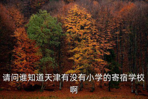 請問誰知道天津有沒有小學的寄宿學校啊