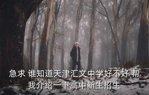 急求 誰知道天津匯文中學好不好 幫我介紹一下高中新生招生