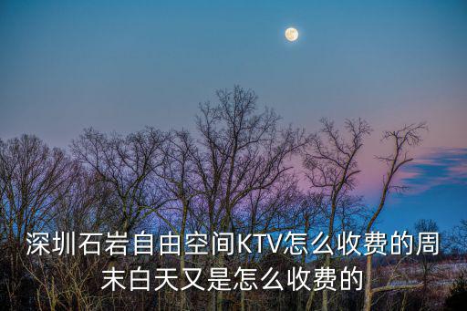 深圳石巖自由空間KTV怎么收費的周末白天又是怎么收費的