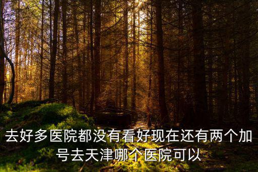 去好多醫院都沒有看好現在還有兩個加號去天津哪個醫院可以