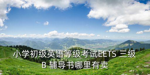 小學(xué)初級(jí)英語(yǔ)等級(jí)考試EETS 三級(jí)B 輔導(dǎo)書(shū)哪里有賣