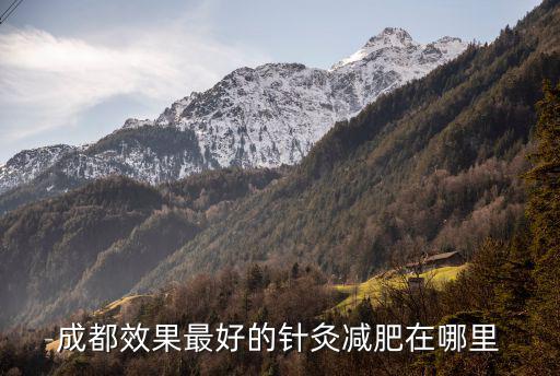 成都效果最好的針灸減肥在哪里