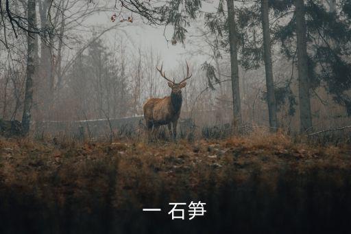 一 石筍