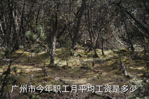廣州市今年職工月平均工資是多少