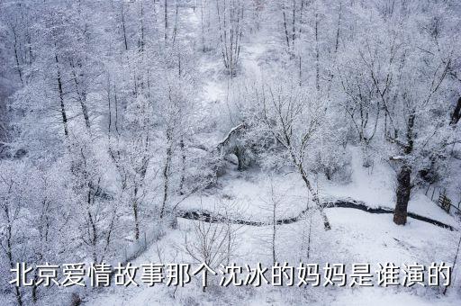 北京愛情故事那個沈冰的媽媽是誰演的