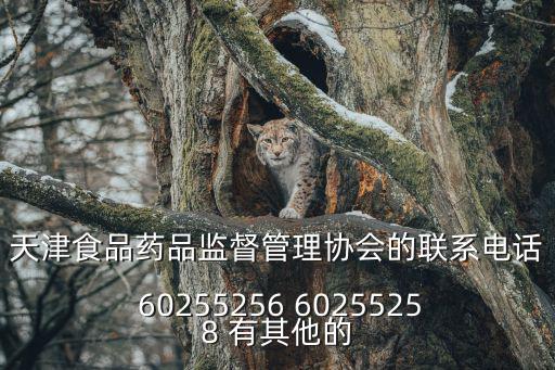 天津食品藥品監(jiān)督管理協(xié)會的聯(lián)系電話 60255256 60255258 有其他的