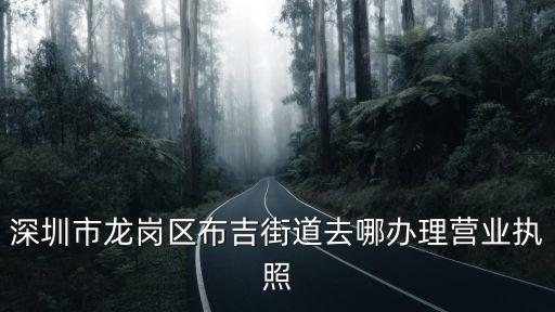 深圳市龍崗區(qū)布吉街道去哪辦理營業(yè)執(zhí)照