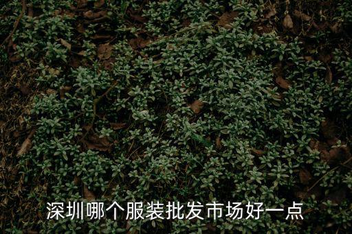 深圳哪個服裝批發(fā)市場好一點