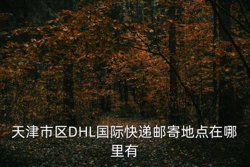 天津市區DHL國際快遞郵寄地點在哪里有