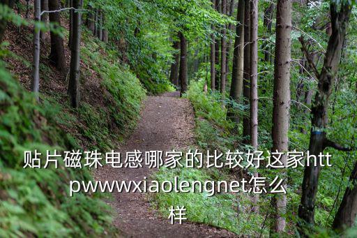 貼片磁珠電感哪家的比較好這家httpwwwxiaolengnet怎么樣