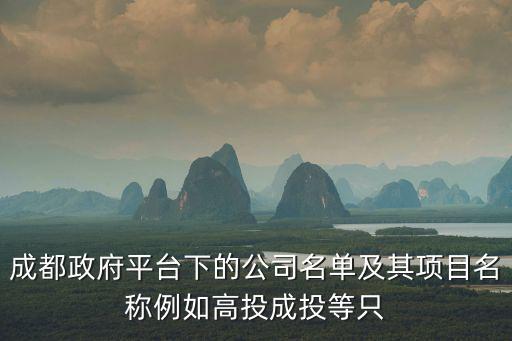 成都市體投集團，成都市有哪些國企
