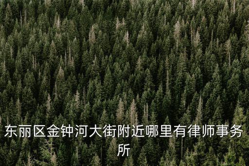 東麗區金鐘河大街附近哪里有律師事務所