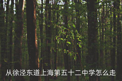 從徐涇東道上海第五十二中學怎么走