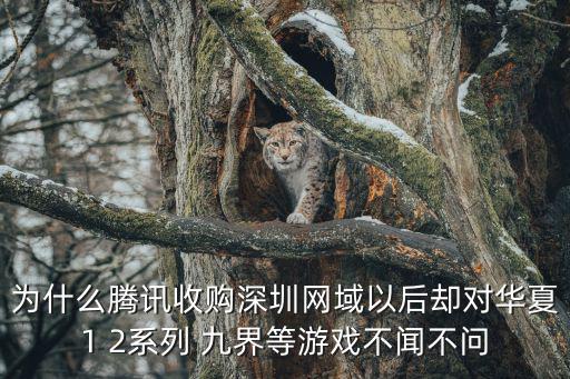 為什么騰訊收購深圳網域以后卻對華夏1 2系列 九界等游戲不聞不問