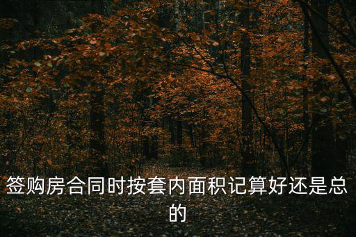 簽購房合同時按套內面積記算好還是總的