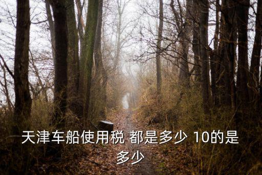 天津車船使用稅 都是多少 10的是多少