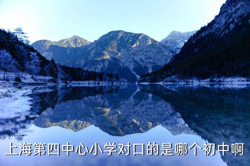 上海第四中心小學對口的是哪個初中啊