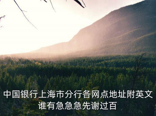 中國銀行上海市分行各網(wǎng)點(diǎn)地址附英文誰有急急急先謝過百