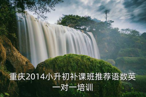 重慶2014小升初補(bǔ)課班推薦語數(shù)英一對(duì)一培訓(xùn)