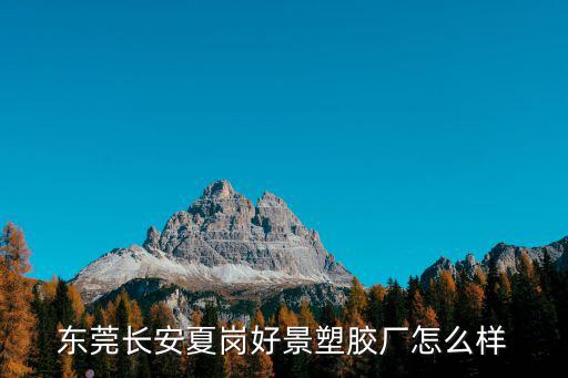 東莞長安夏崗好景塑膠廠怎么樣