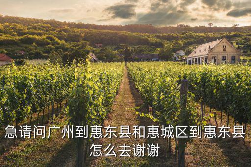 廣州到惠東怎么包車，廣州到惠東到東莞