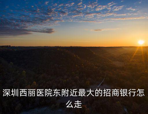 深圳西麗醫(yī)院東附近最大的招商銀行怎么走