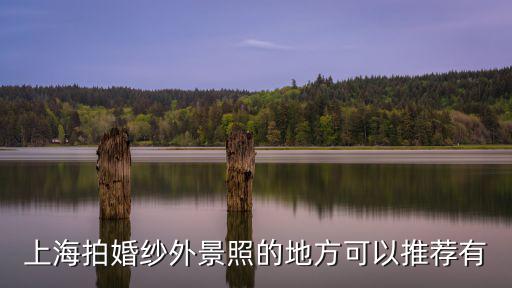 上海拍婚紗外景照的地方可以推薦有