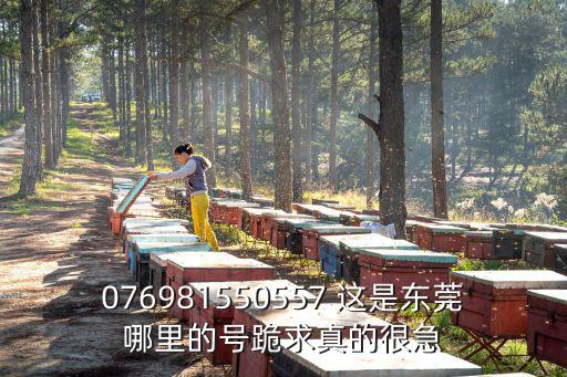 東莞長安錦廈京東電話，東莞市小型貨車二手交易市場在哪里