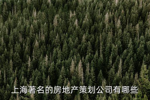 上海著名的房地產(chǎn)策劃公司有哪些