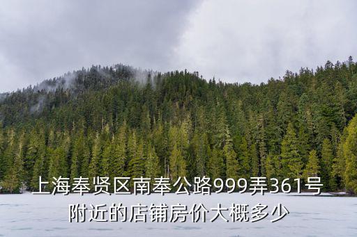 上海奉賢區南奉公路999弄361號附近的店鋪房價大概多少