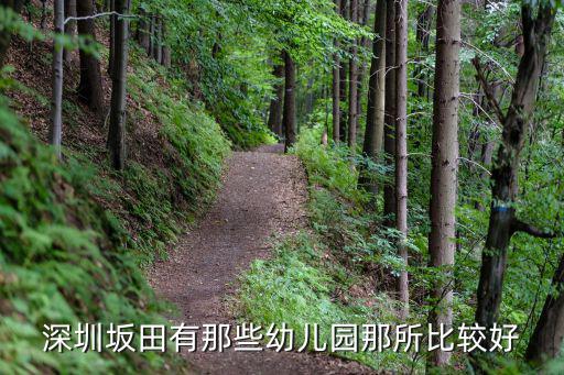 深圳坂田有那些幼兒園那所比較好