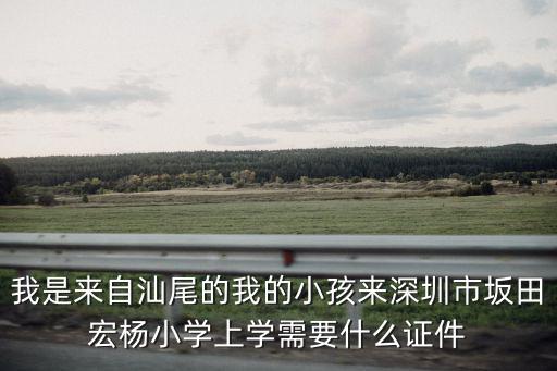 我是來自汕尾的我的小孩來深圳市坂田宏楊小學上學需要什么證件
