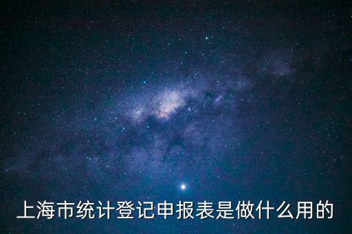 上海市統(tǒng)計登記申報表是做什么用的