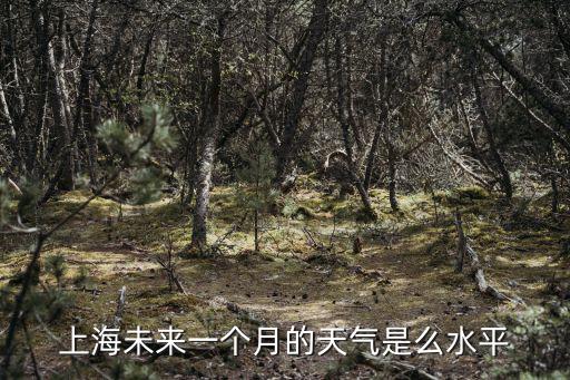 上海未來一個月的天氣是么水平