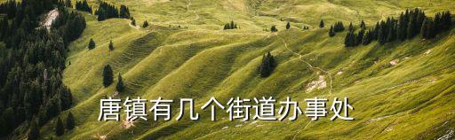 上海市唐鎮(zhèn)有多少個村，唐鎮(zhèn)有幾個街道辦事處