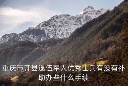 重慶市復原退伍軍人生活救助，重慶市開縣退伍軍人優秀士兵有沒有補助辦些什么手續
